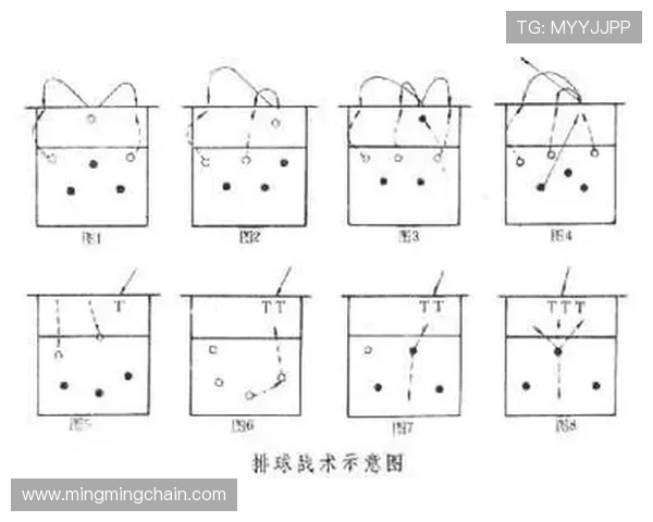 南京排球队比赛经验分享：从战术到心理素质的全面剖析与启示