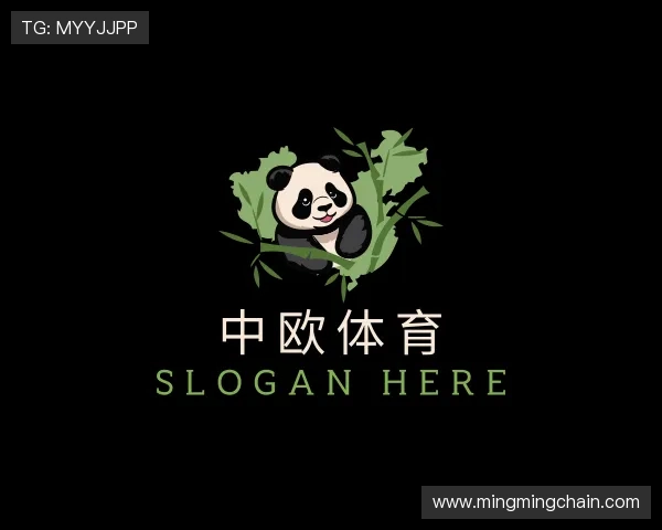 介绍zoty中欧