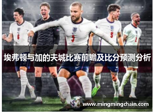 埃弗顿与加的夫城比赛前瞻及比分预测分析