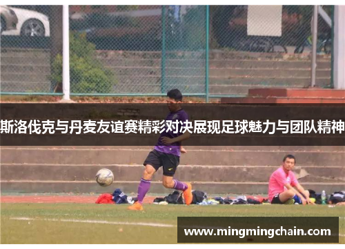 斯洛伐克与丹麦友谊赛精彩对决展现足球魅力与团队精神